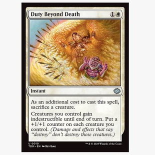 Duty 身后之责 Beyond Death 白 牌客窝 银 万智牌