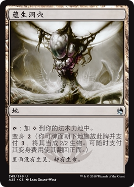 牌客窝 万智牌  蕴生洞穴 Zoetic Cavern 银 地