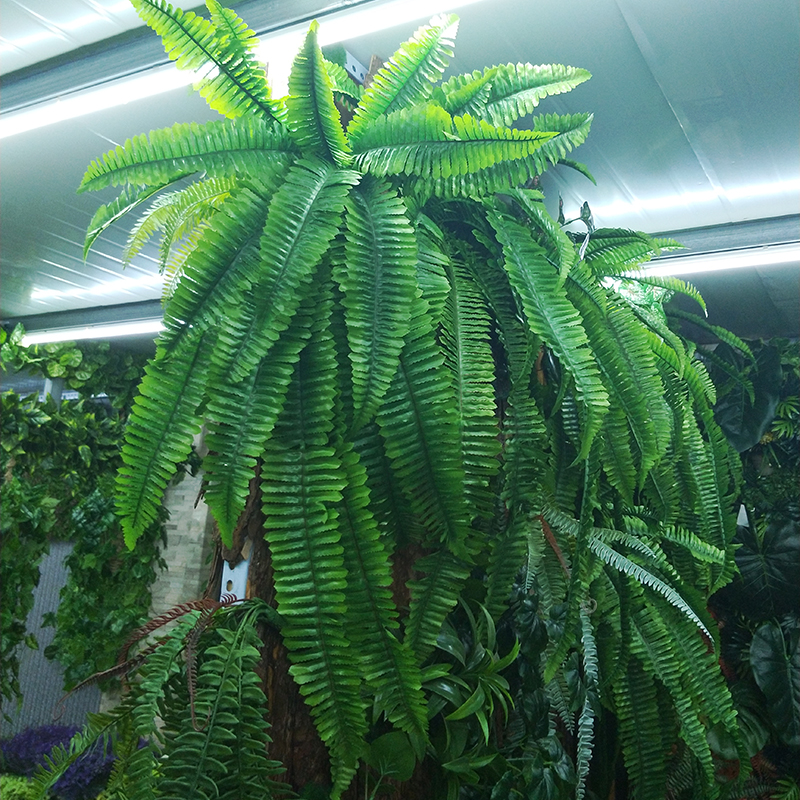 仿真绿植蕨类特大波斯草葵叶塑料假花仿生植物墙壁摆放婚庆装饰花,鲜花速递/花卉仿真/绿植园艺,仿真绿植,淘宝优惠券,粉丝福利购,淘宝优惠卷