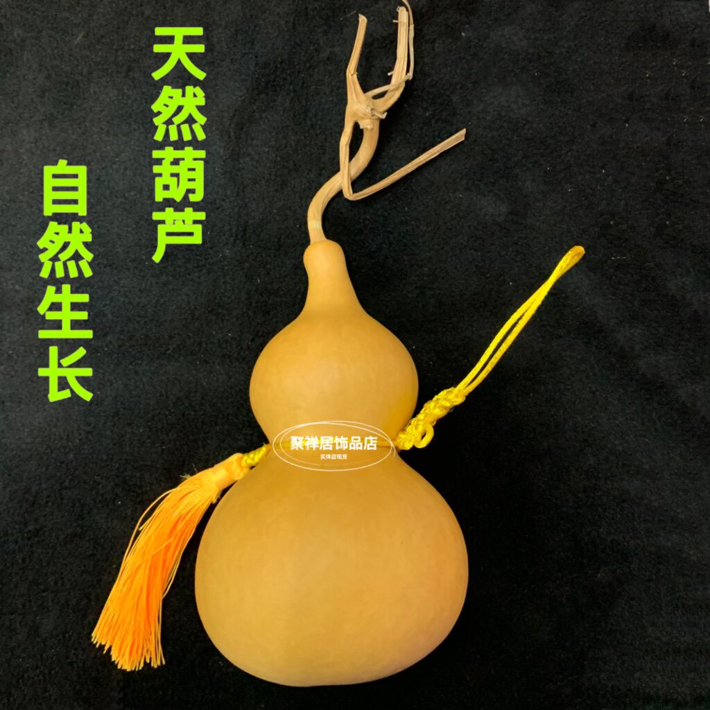 天然葫芦挂件种植自然生长带龙头有籽干葫芦五帝钱葫芦家居挂饰