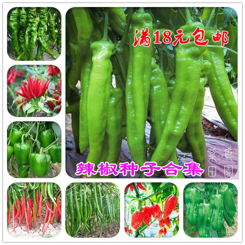 Pepper seed Devil Line pepper/Chili peppers/Sheep horn and cow horn pepper/Screw High yield Pepperin the Flower delivery/Flowers simulation/Plants gardening , Flowers/Fruits and vegetables/Lawn seed (New) , Home &amp; Garden Seeds  category - from Buy2taobao.com to provide professional Taobao agent buy service