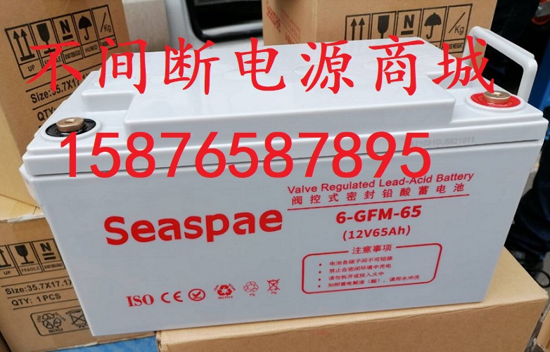 seaspae12v65ah免维护ups蓄电池