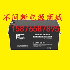 6-GFM-65-YT 精卫UPS电瓶 12V65AH 科华UPS不间断电源用蓄电池