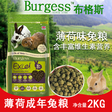 英国burgess布格斯薄荷成年兔饲料1