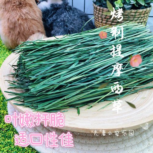烘烤提摩西草北提500g袋装饲料