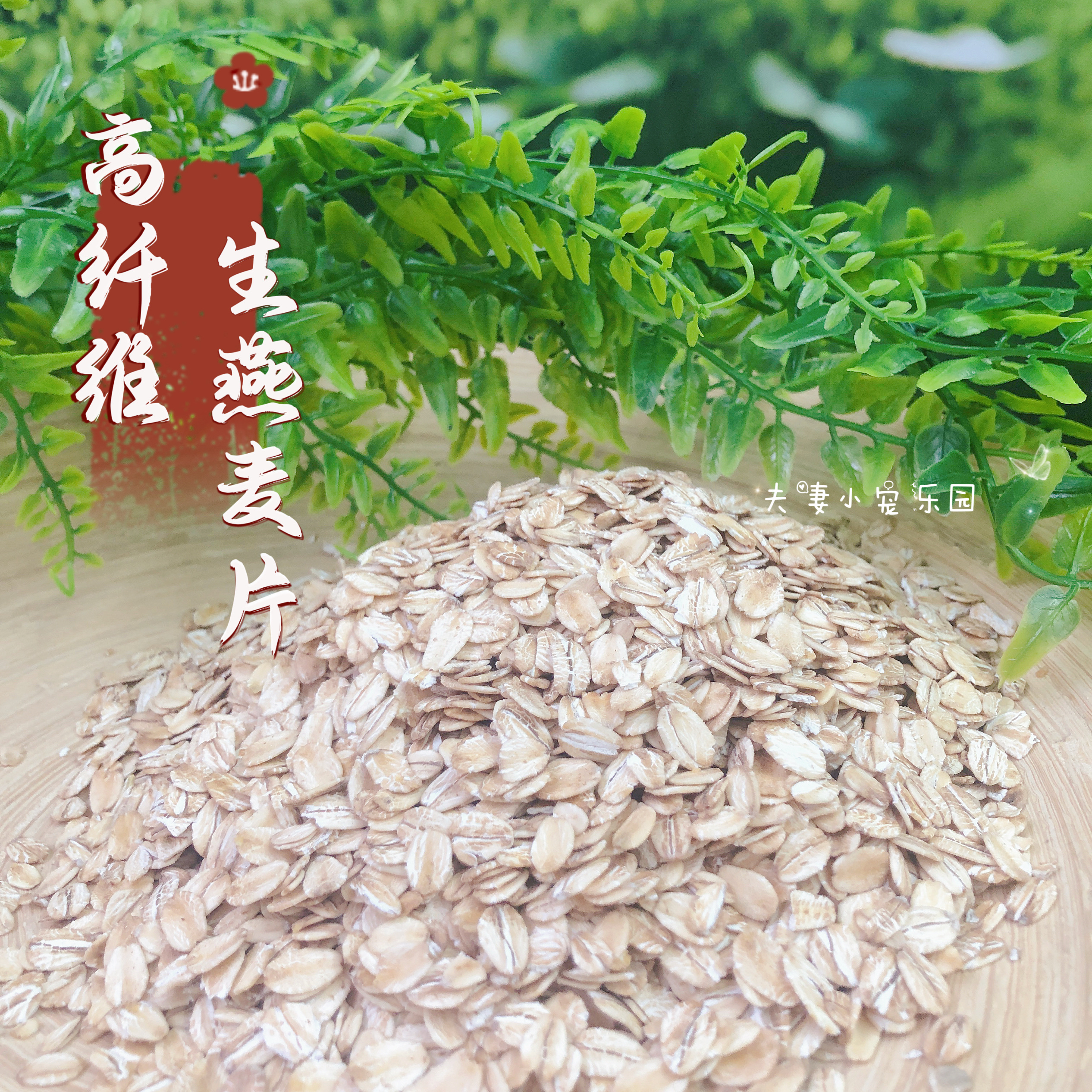 谷物新款散装中国小宠松榛粮食 燕麦片 粗纤维益肠胃消化 100g