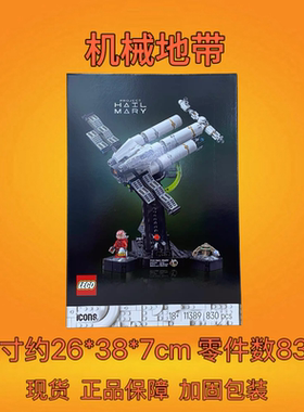LEGO乐高ICONS系列11389挽救计划极限返航拼搭积木玩具礼物收藏
