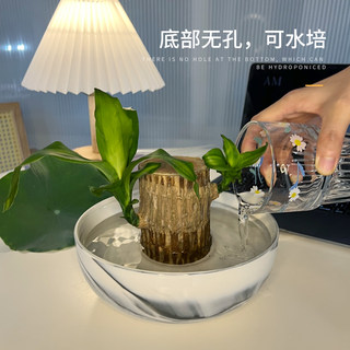 碗莲专用盆大号铜钱草睡莲盆缸大口水培花盆器皿陶瓷水养植物容器