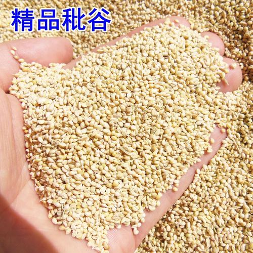 秕谷瘪谷子优质的枕芯填充物风机除尘成人学生优质秕谷子枕芯