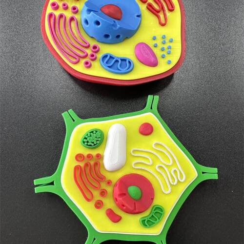 3D打印亚显微结构模型可定制