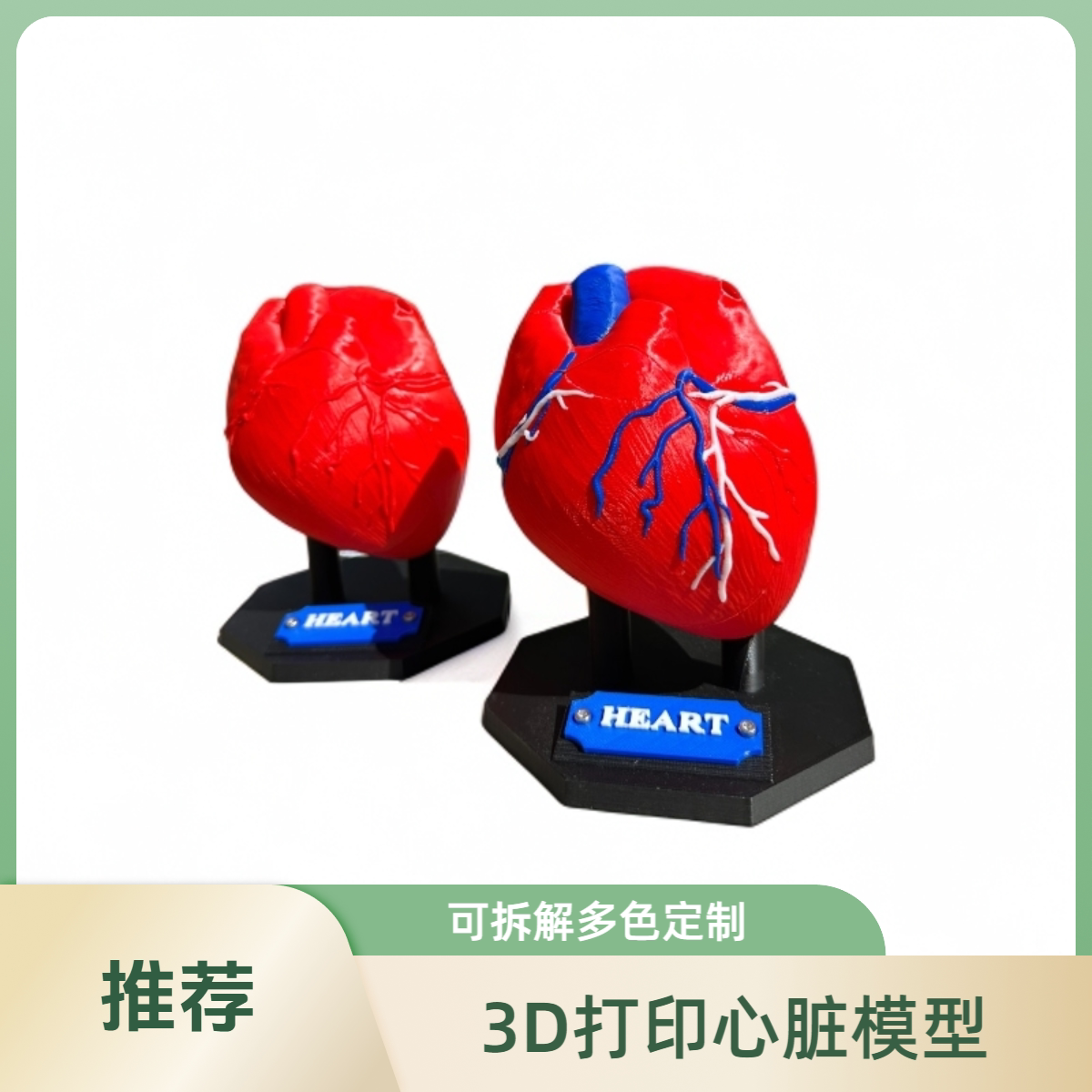 3D打印人体心脏解剖模型定制