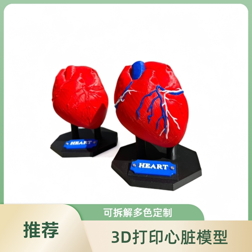 3D打印人体心脏解剖模型定制