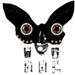 端红绿吉丁Chrysochroa Aurora未整姿原虫