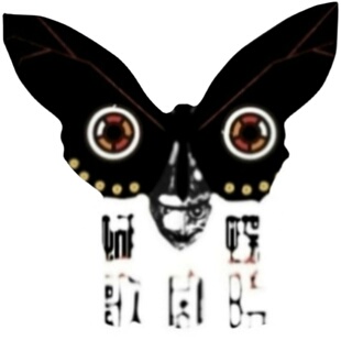 玻利维亚红尾 Acanthoscurria chacoana 未整姿原虫