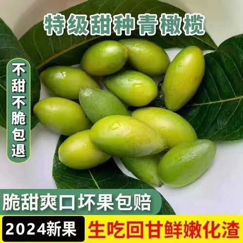 2024新鲜采摘甜橄榄二号甜青果孕妇水果生吃老树檀香无渣脆甜