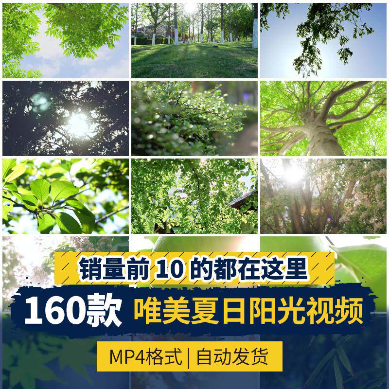 实拍唯美空镜头夏日阳光森林树林透光大自然树叶背景短视频素材