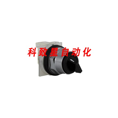 工业配件9001KS11BH1- SWITCH