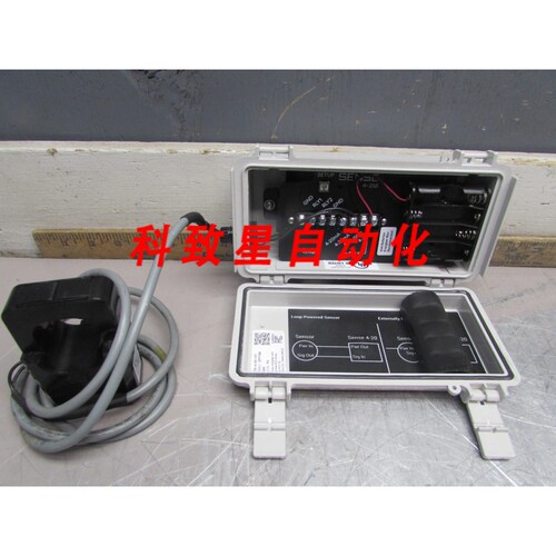 工业配件SYNAPSE WSI-4-20-101 MISC.CONTROLS W/500A :20MADC SP