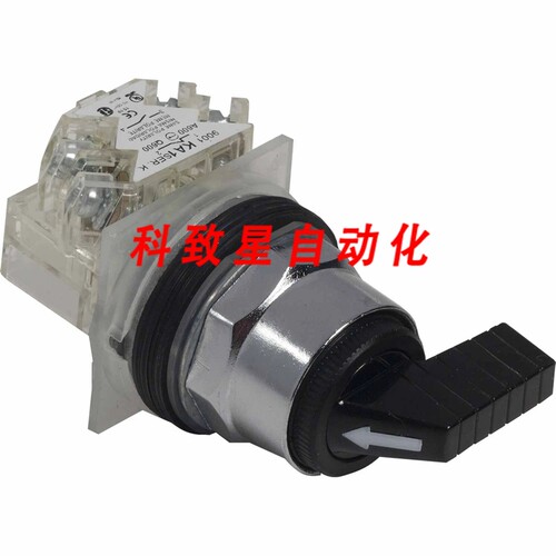 工业配件9001KS43FBH1- SWITCH