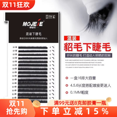 美容院柔软纤长大眼睛混装下睫毛