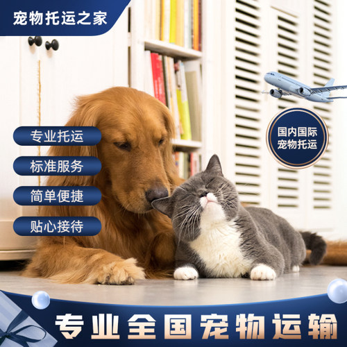 全国宠物托运上门接送