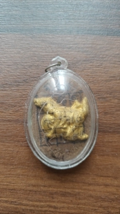 阿赞堆早期马食能