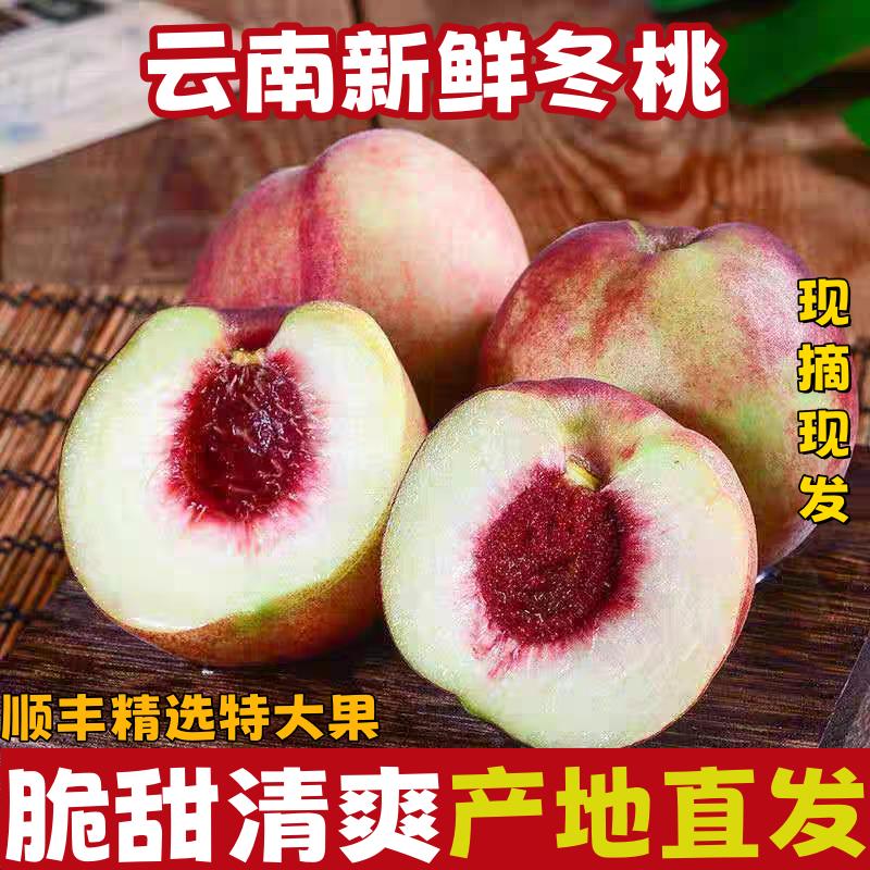 正宗云南大理冬桃脆甜毛桃子5/9斤现摘现发高山鲜桃孕妇新鲜水果
