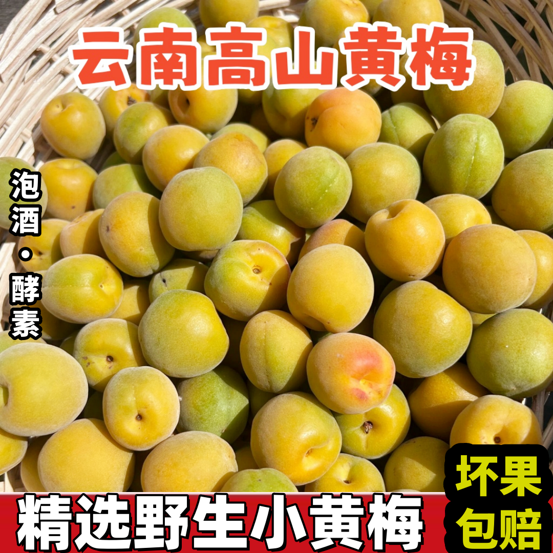 黄梅鲜果 2026云南黄梅5斤现摘新鲜酸梅子泡酒酵素高山野生黄梅果