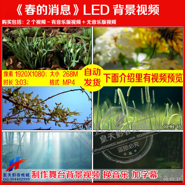 春的消息舞蹈演出树林蝴蝶小溪舞台LED大屏幕高清背景视频素材