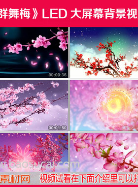 c706 群舞梅 舞蹈舞台LED大屏幕背景视频素材 包素材网