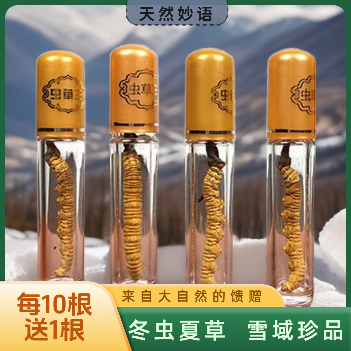 头期冬虫夏草整草自用送礼泡酒茶煲汤打粉藏区非西藏那曲断虫草