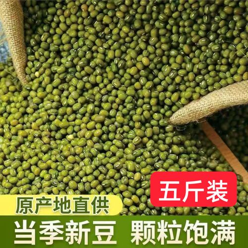 绿豆东北黑龙江农家自产杂粮笨绿豆生豆芽绿豆汤清热解暑2500g