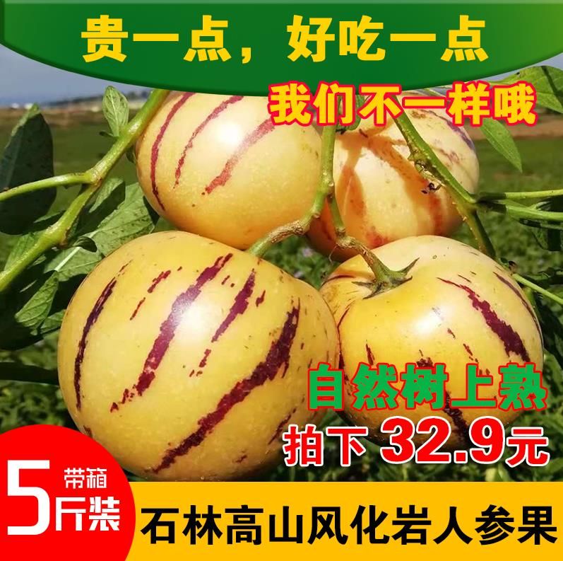 云南石林七彩人参果黄皮当季水果新鲜圆果中果人心果人生果5斤装在类目 水产肉类/新鲜蔬果/熟食, 新鲜水果, 人参果中 - 来自Buy2taobao.com提供专业的淘宝代购服务