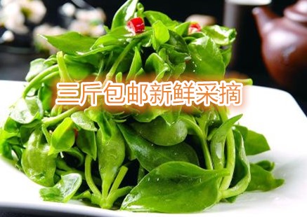 新鲜蔬菜野菜农家菜田七三七穿心莲牡丹吊兰沙拉菜三斤包邮顺丰