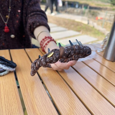 正版发箍C2104（满15元优先发货）