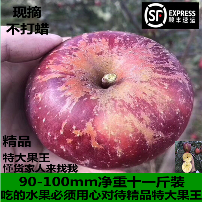 12斤现摘树尖阳光花纹特大果云南昭通丑苹果冰糖心新鲜孕妇水果