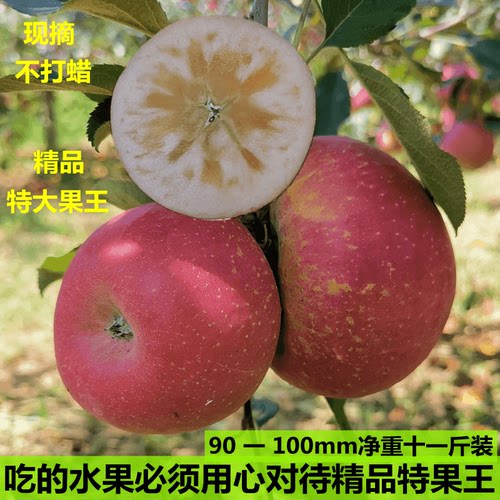 12斤云南昭通丑苹果甜脆新鲜水果应季现摘当季孕妇水果整箱包邮
