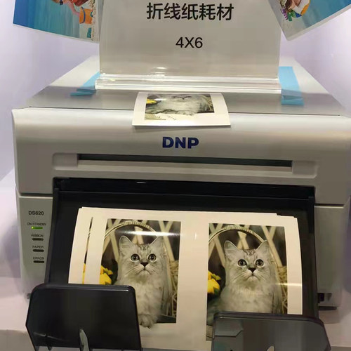 高档diy定制8寸海马同款机器照片