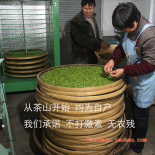 高山龙井 杭州明前龙井茶2025年新茶嫩芽 富阳龙井茶叶 绿茶250g