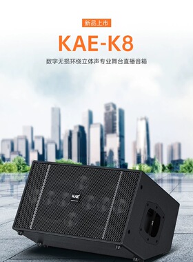 KAE K8音响电吹管萨克斯弹唱直播户外k歌路演直播大功率音箱