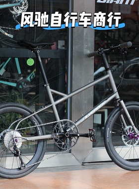 SILVEROCK DEWY 小轮车 20寸 10速 油碟 平把 单盘 小轮瓜车 钢架