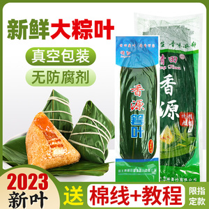 粽子叶免邮粽叶新鲜大号100片箬叶包粽子的叶子真空商用特大新叶