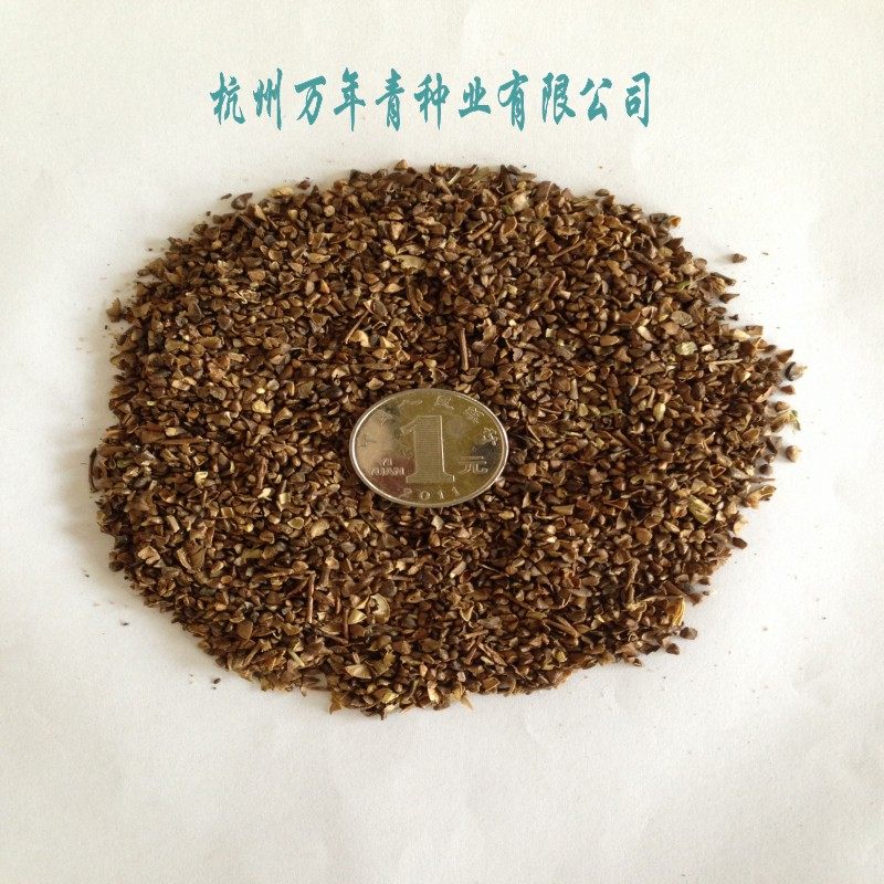 新采收林木种; 紫薇种子;红花紫薇种子，美国火箭红紫薇种子 包邮