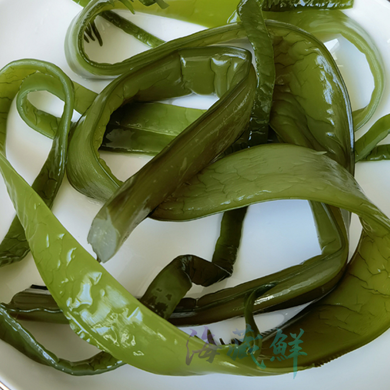 海藏鲜威海特产海白菜裙带菜盐渍裙带梗海裙菜非干货海藻凉拌火锅