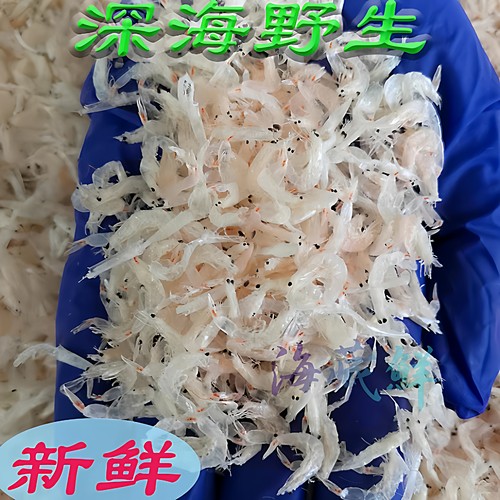 盐分干度适中特产口感淡深海野生