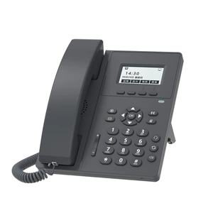 Micro Bell IP Phone v100 v610W Network Loc -Turk SIP Office Phone Беспроводной Targeer Wi -Fi Power Power Foods