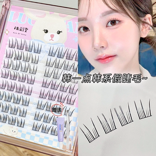 陆彩堂假睫毛韩一点女团ACE单簇女自然仿真小恶魔嫁接芭比眼睫毛