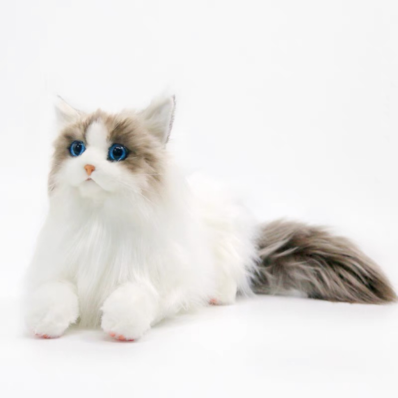 仿真猫咪玩偶布偶猫公仔毛绒玩具儿童女孩生日礼物2025网红爆款
