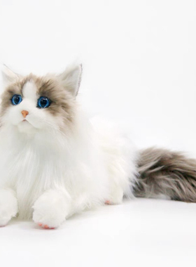 仿真猫咪玩偶布偶猫公仔毛绒玩具儿童女孩生日礼物2025网红爆款