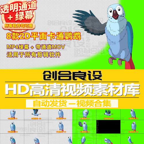 2D少儿动漫MG动画元素卡通动物鹦鹉小鸟PR带通道视频剪影绿幕素材
